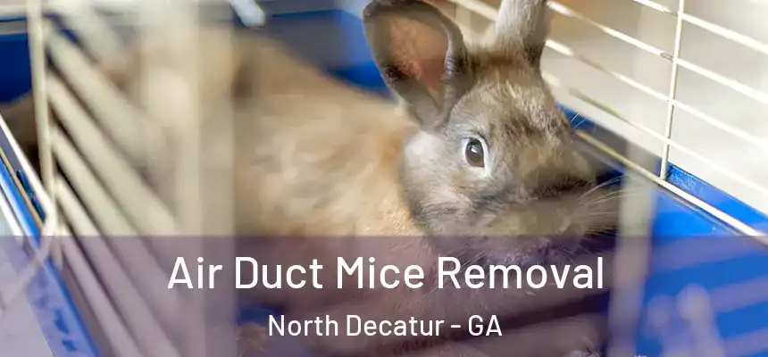 Air Duct Mice Removal North Decatur - GA