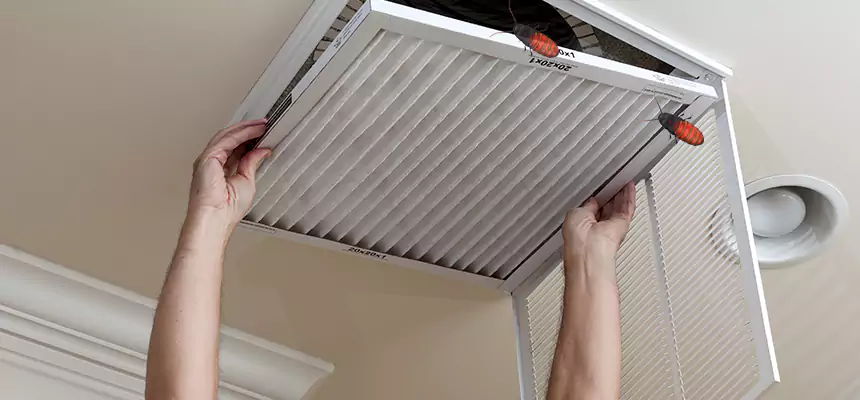 Preventive Cockroach-Proofing for Ducts in North Decatur