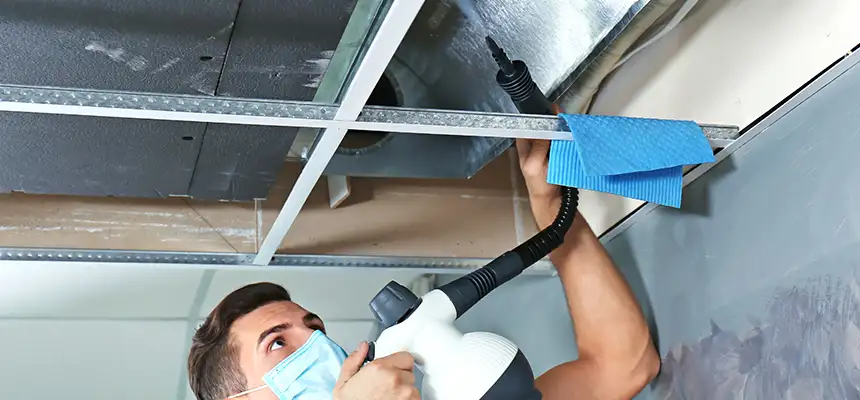 Our Air Duct Rodent Removal Services in North Decatur, GA