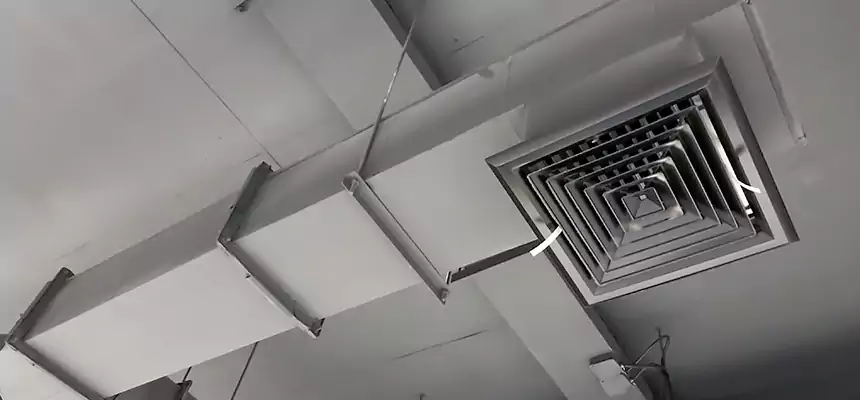 Our Rodent Droppings In Vents Services in North Decatur, GA