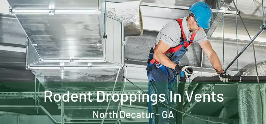  Rodent Droppings In Vents North Decatur - GA