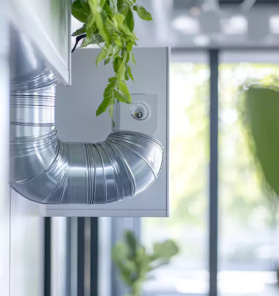 Professional Eco-Friendly Duct Cleaning Services in North Decatur, GA