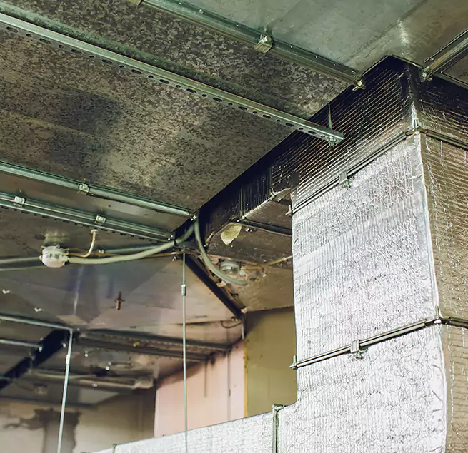 Why Homeowners & Businesses Trust Us in North Decatur, GA?